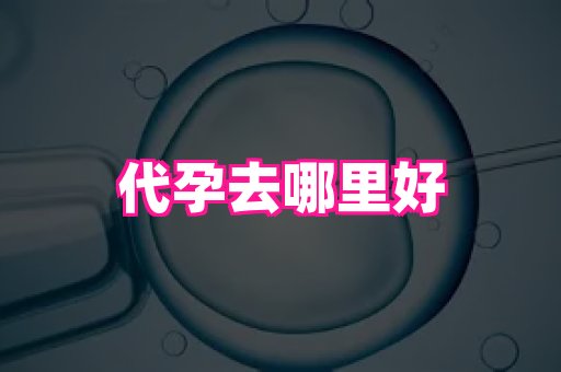 821孕网 4